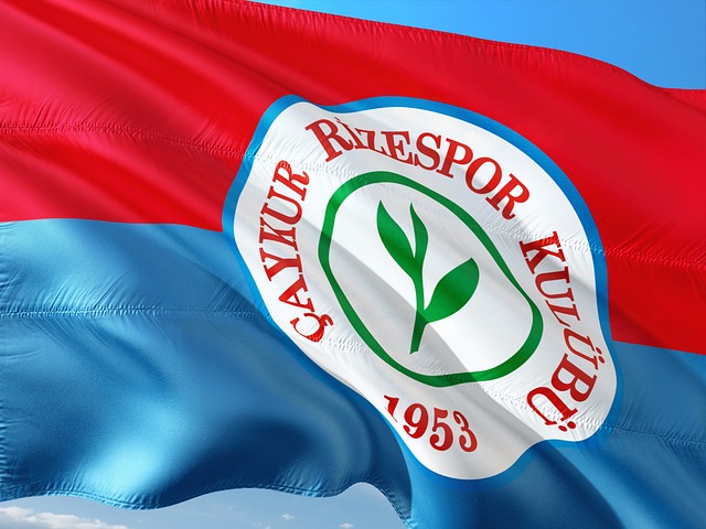 威廉姆斯的 威廉姆斯的