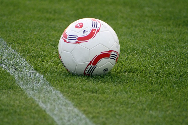 在未来的职 在未来的职