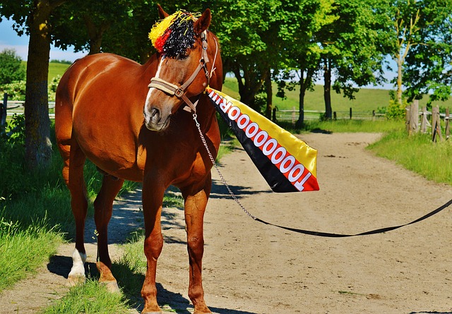 是这样一位 是这样一位