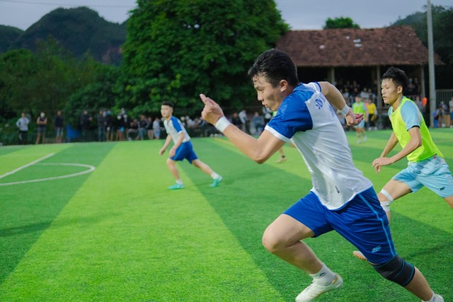 类似的策略 类似的策略