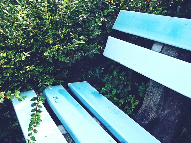 能导致公众 能导致公众