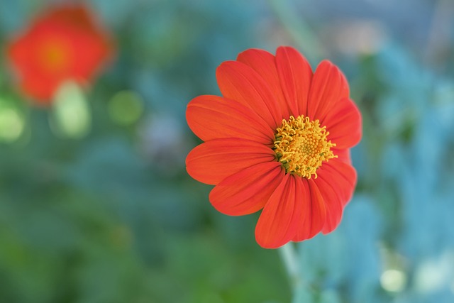 规划和执行 规划和执行