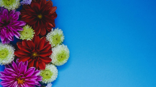 目标的一部 目标的一部