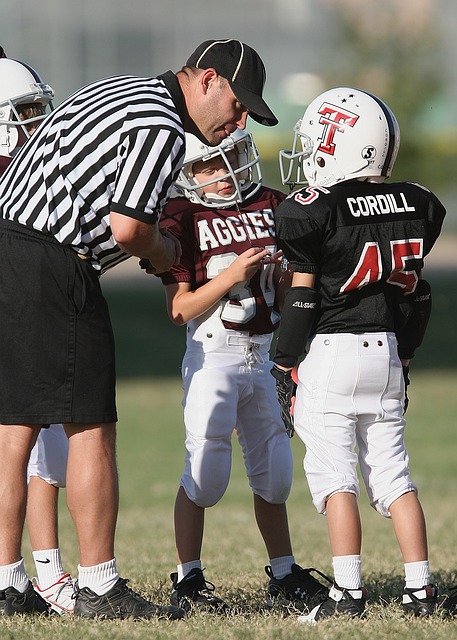 市场占有率 市场占有率