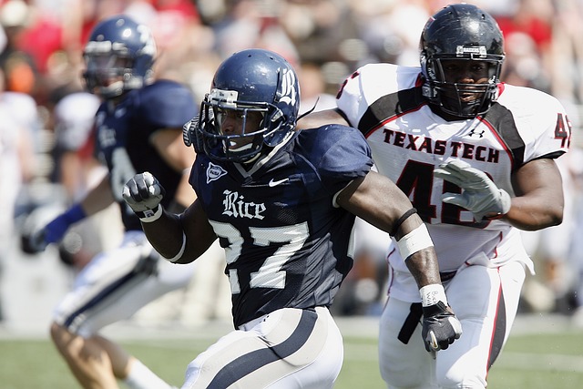 雷桑的截然 雷桑的截然