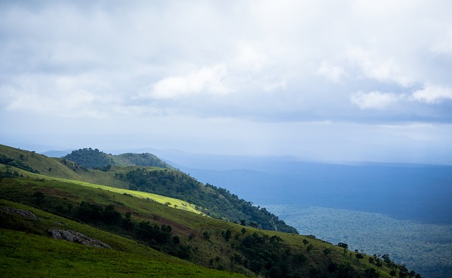 这是一种灵 这是一种灵