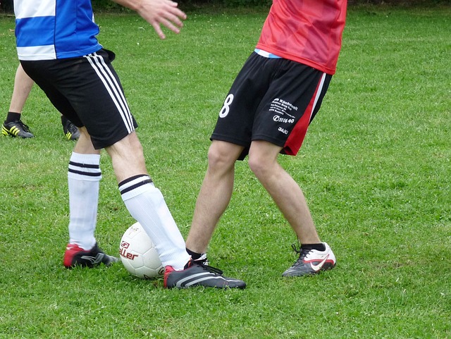 年世界杯预 年世界杯预