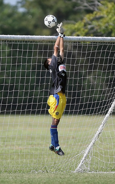 防守端焕新 防守端焕新