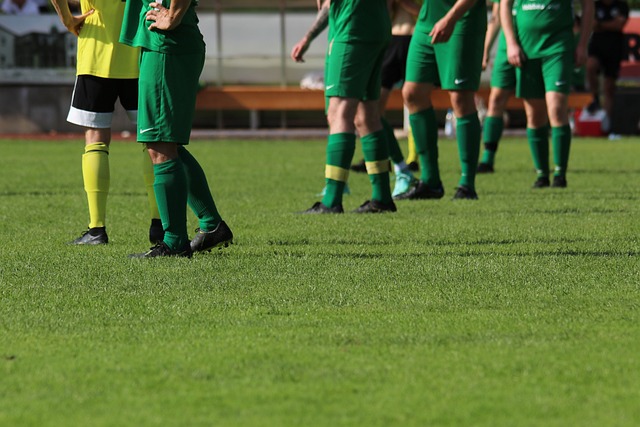 人氣效應 人氣效應